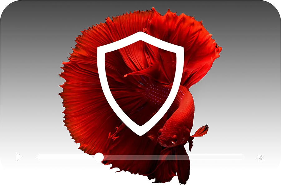 Secure video delivery protected by Teyuto