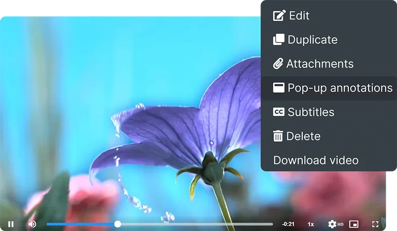 Teyuto video player with interactive pop-up annotations